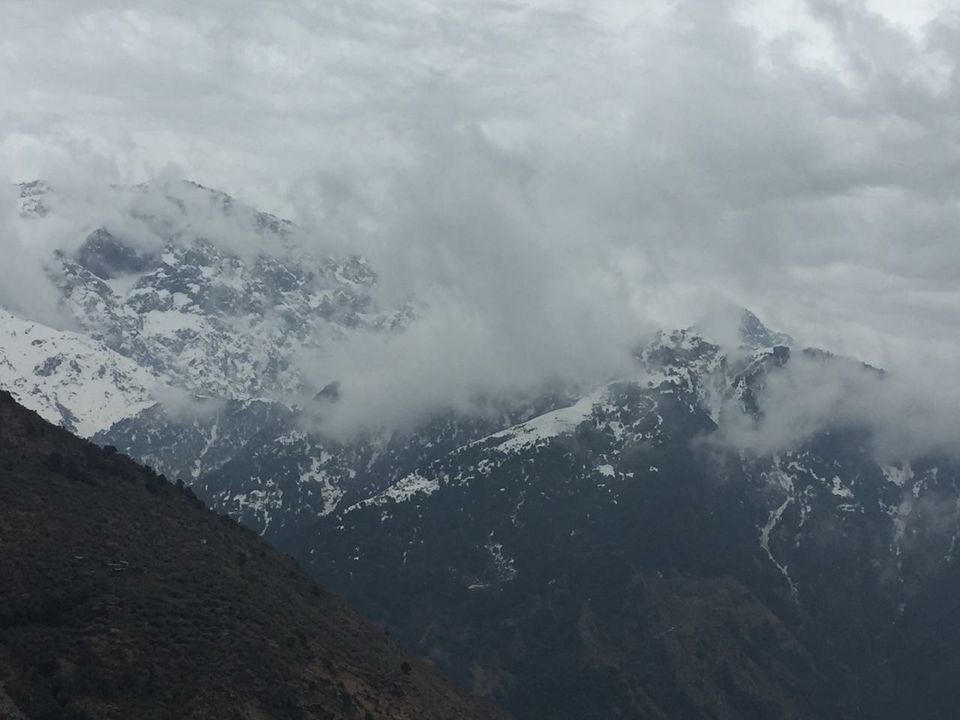 Photo of Triund Trek, Trail to Triund Hill, Dharamshala, Himachal Pradesh, India by Aniket Tekwade
