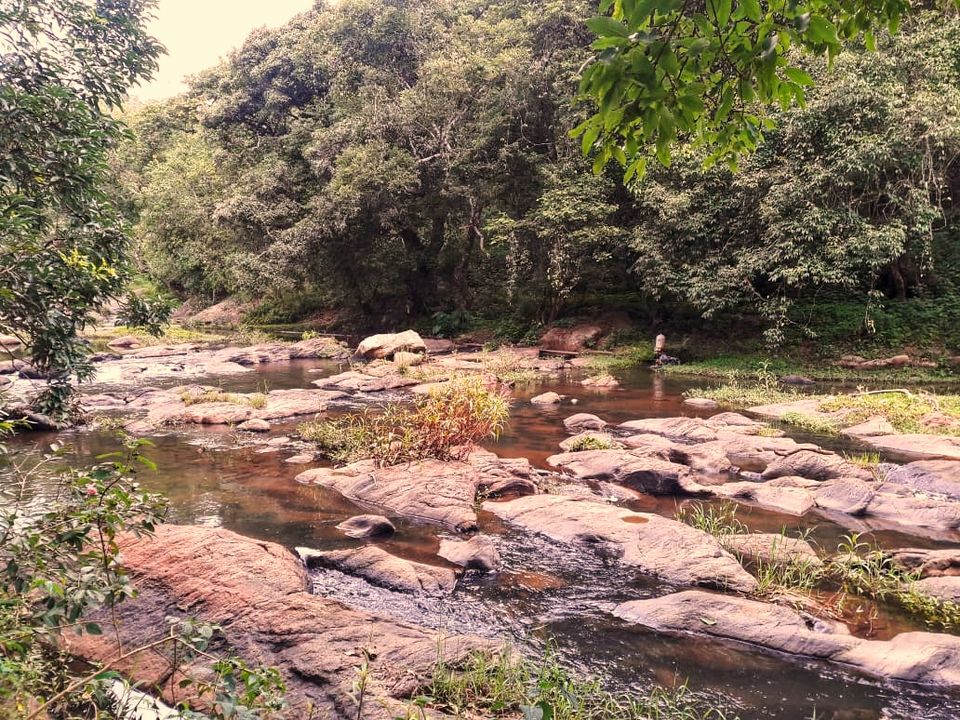 Photo of An Unplanned trek to a Hidden Waterfalls by Pinky Roy