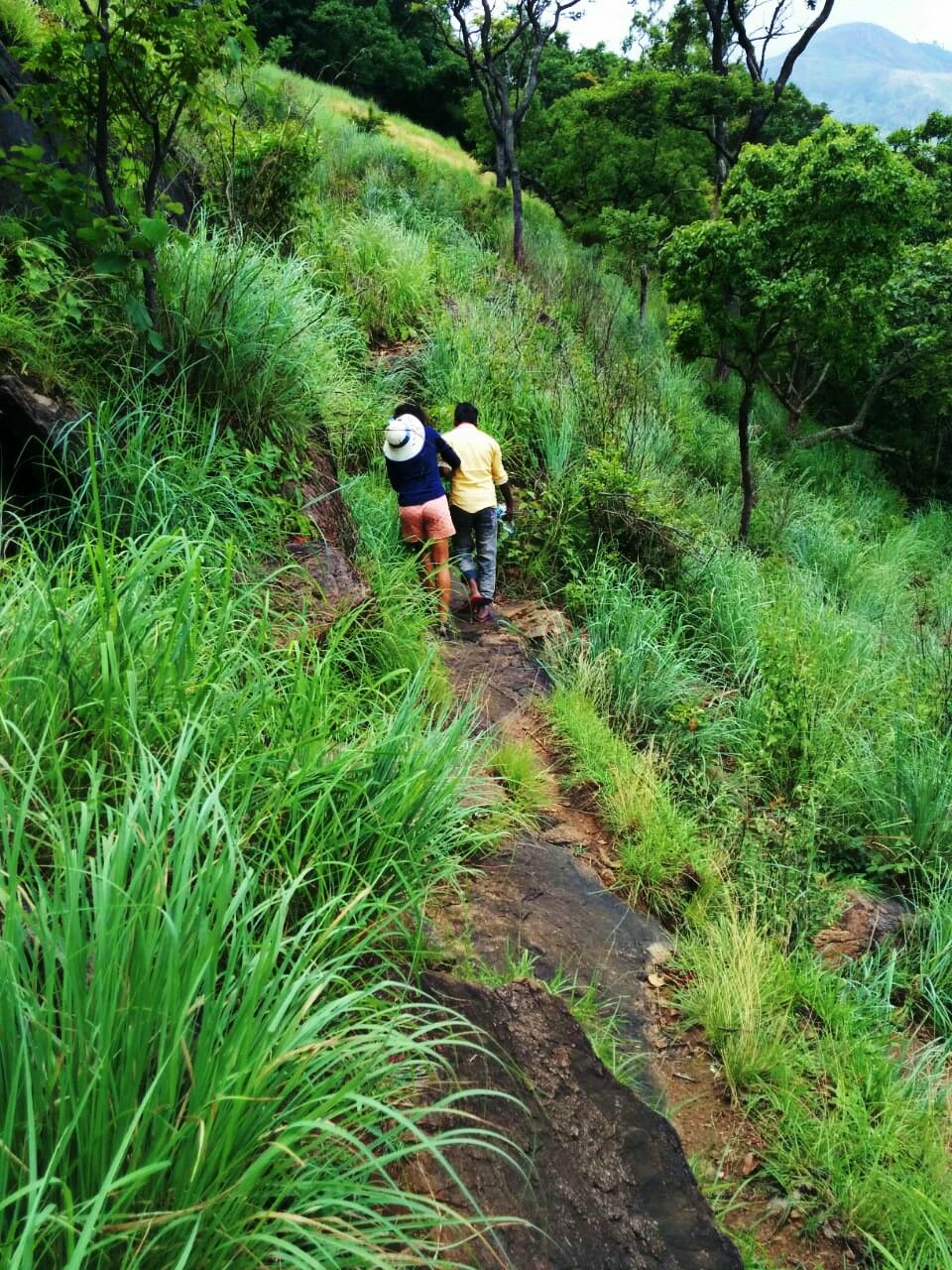 Photo of An Unplanned trek to a Hidden Waterfalls by Pinky Roy