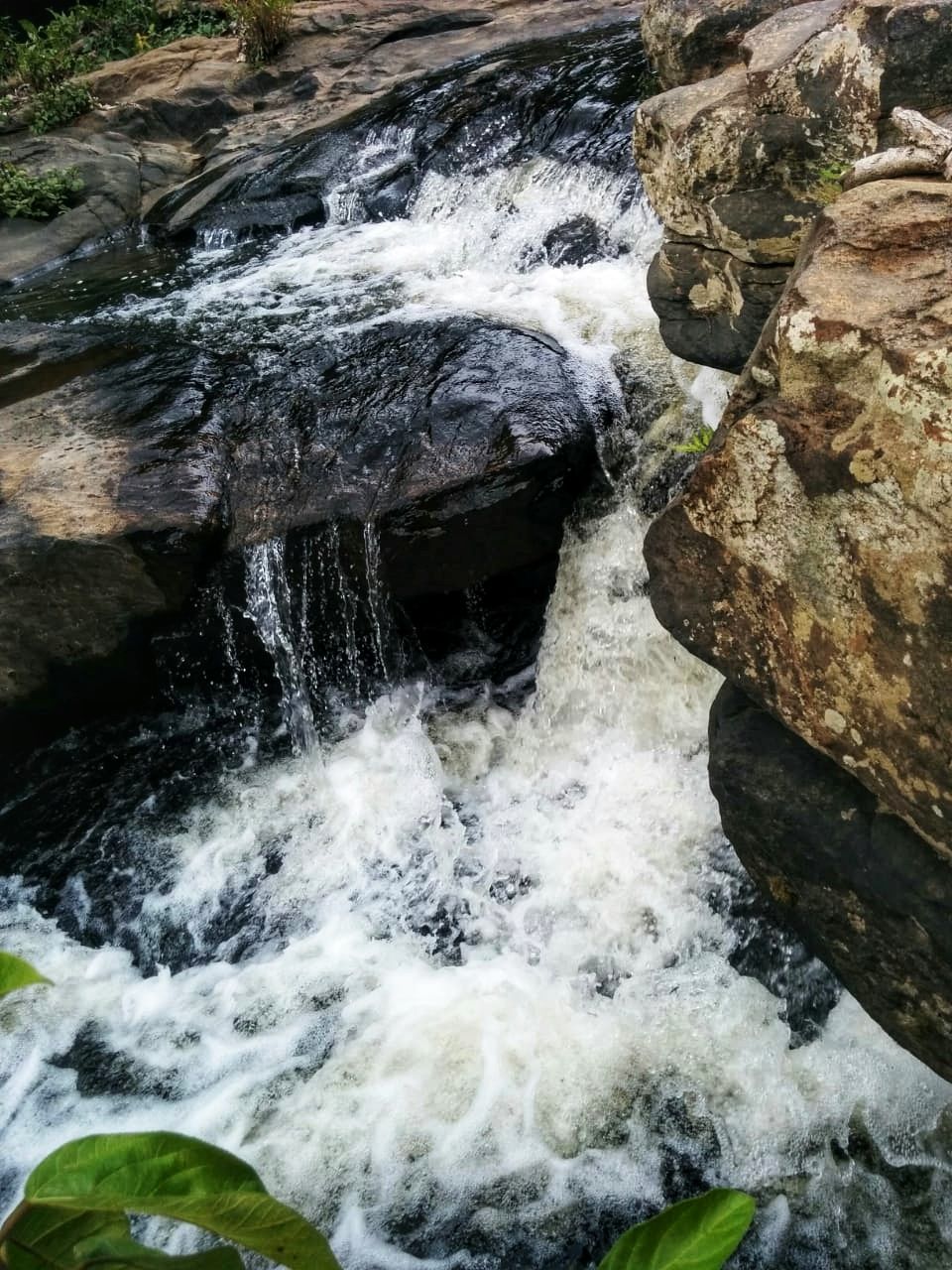 Photo of An Unplanned trek to a Hidden Waterfalls by Pinky Roy