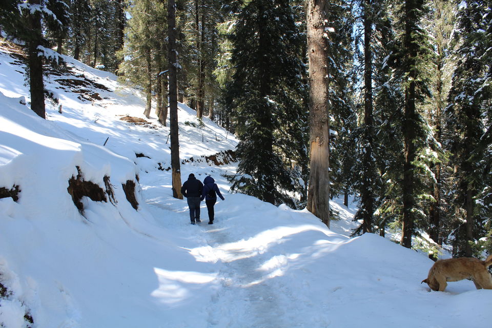 Photo of CHITKUL : Village Frozen In Time by KeepTheCarRunningg