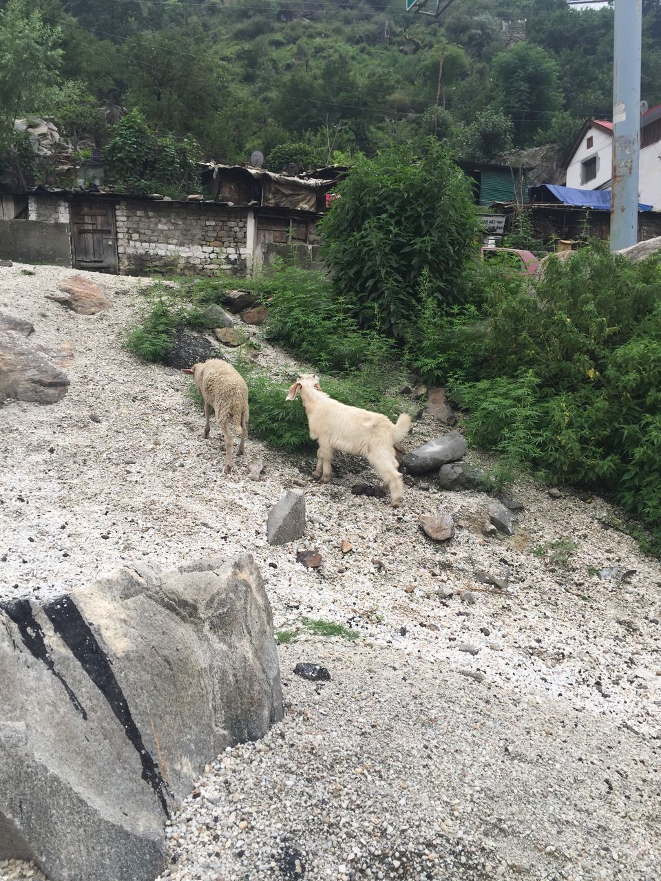 Photo of CHITKUL : Village Frozen In Time by KeepTheCarRunningg