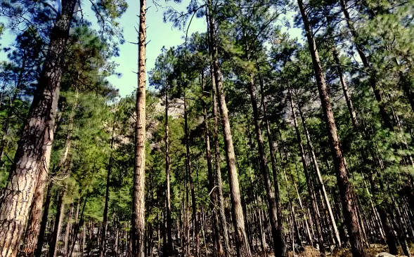 Photo of Chalal- unexplored destination near Kasol by Soubhik Bhanja