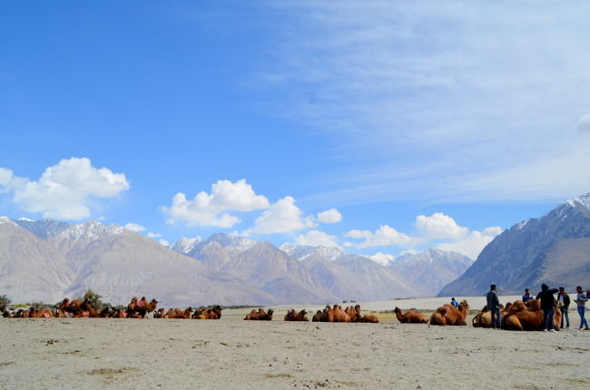 Photo of Nubra Valley: Turgidity of Ladakh’s landscape! by Bobby