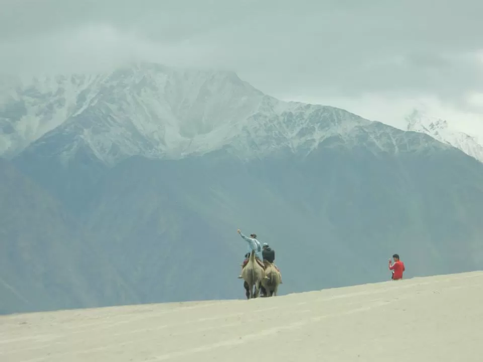 Photo of Nubra Valley by SHIMOJ