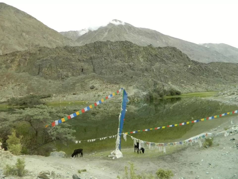 Photo of Nubra Valley by SHIMOJ