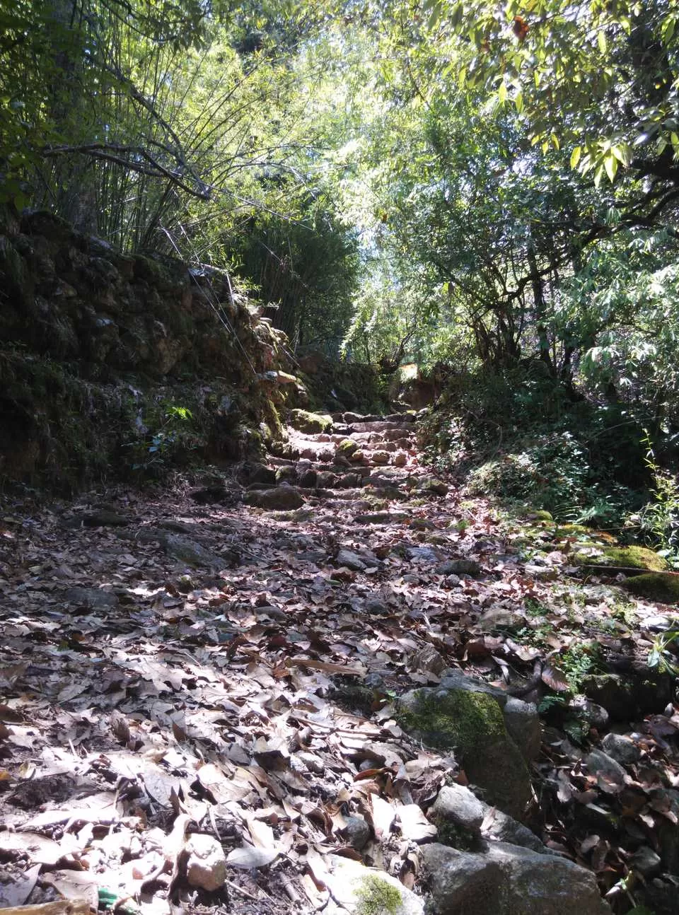 Photo of Munsyari, Uttarakhand, India by Neethu