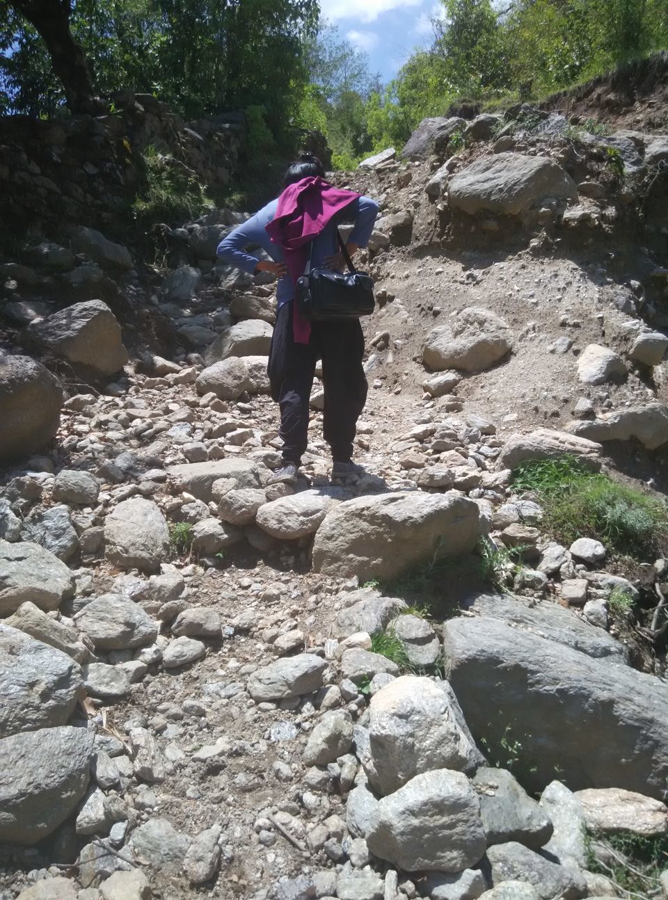 Photo of Munsyari, Uttarakhand, India by Neethu