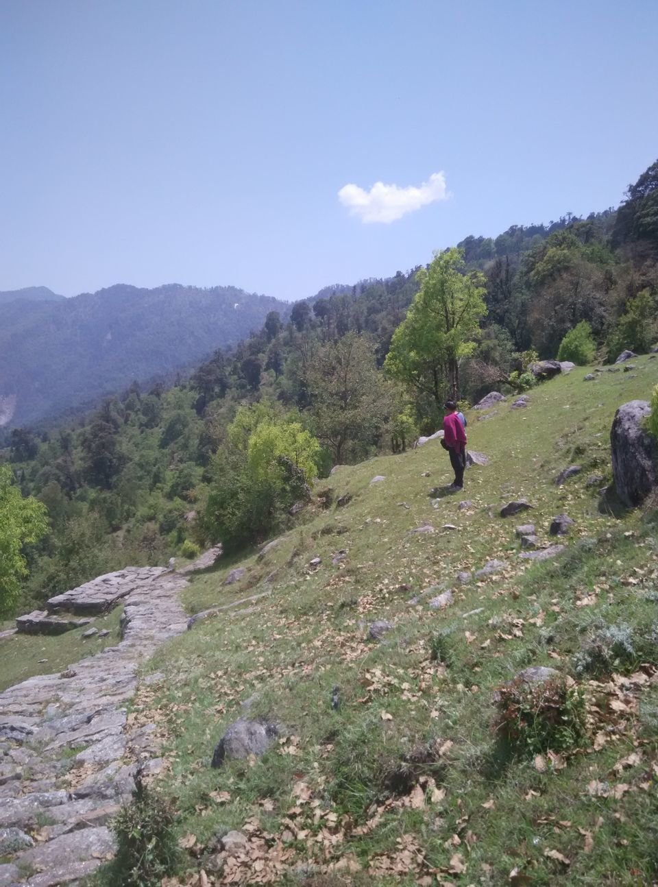 Photo of Munsyari, Uttarakhand, India by Neethu