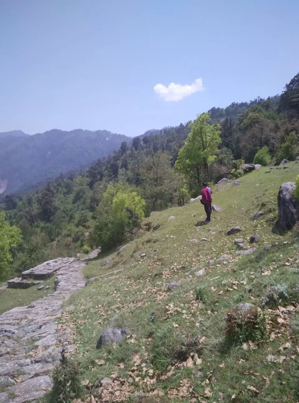 Photo of Munsyari, Uttarakhand, India by Neethu