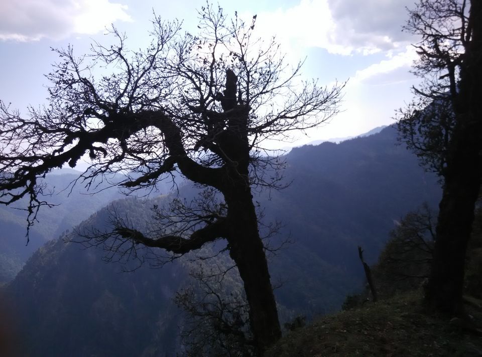 Photo of Munsyari, Uttarakhand, India by Neethu