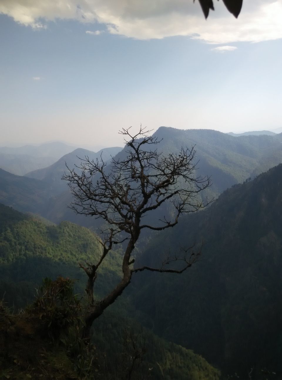 Photo of Munsyari, Uttarakhand, India by Neethu