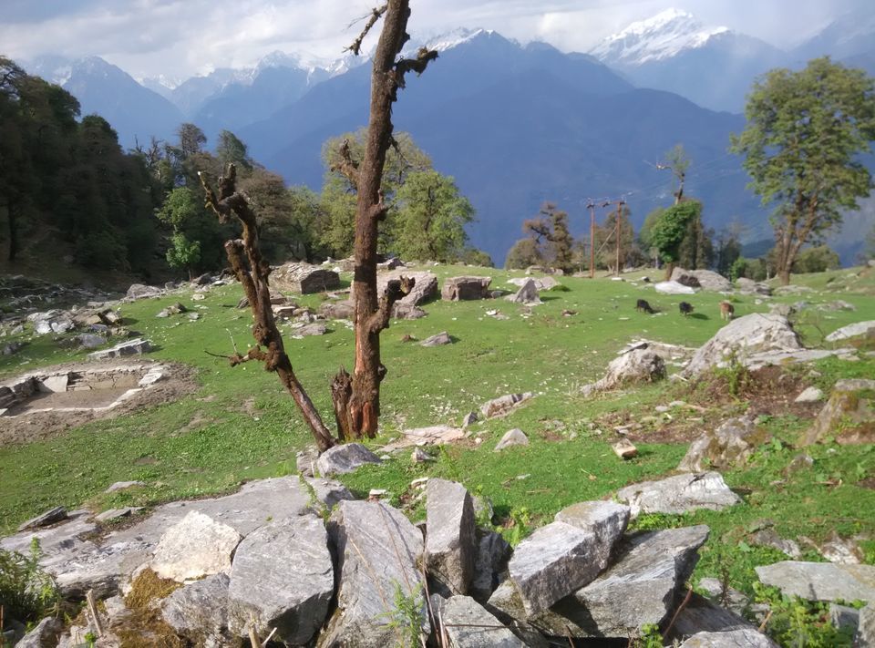 Photo of Munsyari, Uttarakhand, India by Neethu