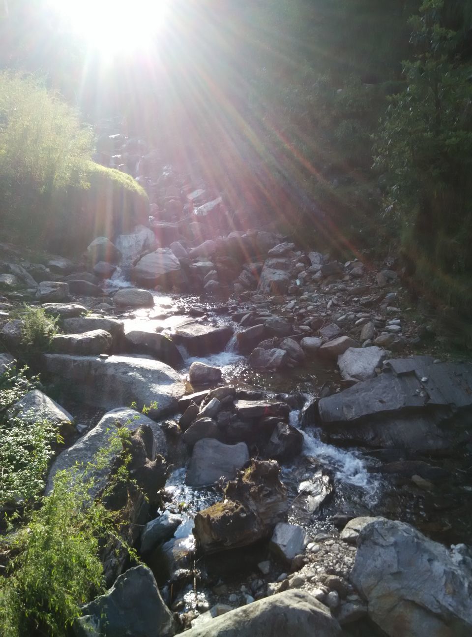 Photo of Munsyari, Uttarakhand, India by Neethu