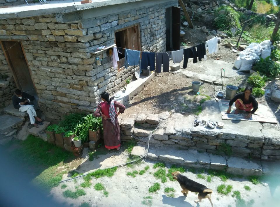 Photo of Munsyari, Uttarakhand, India by Neethu