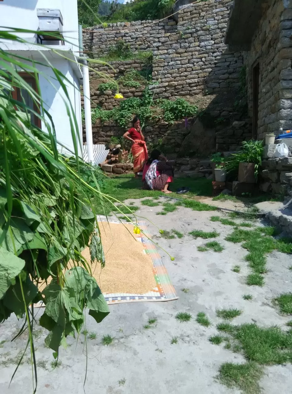 Photo of Munsyari, Uttarakhand, India by Neethu