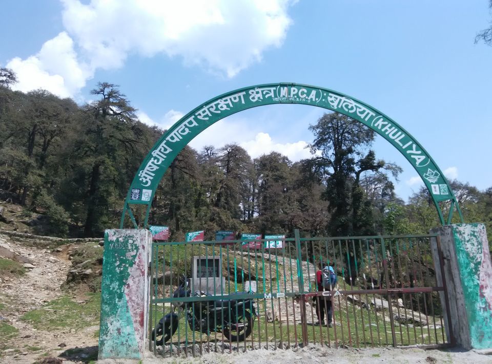 Photo of Munsyari, Uttarakhand, India by Neethu