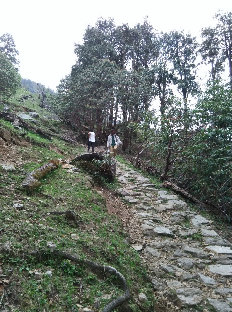 Photo of Munsyari, Uttarakhand, India by Neethu