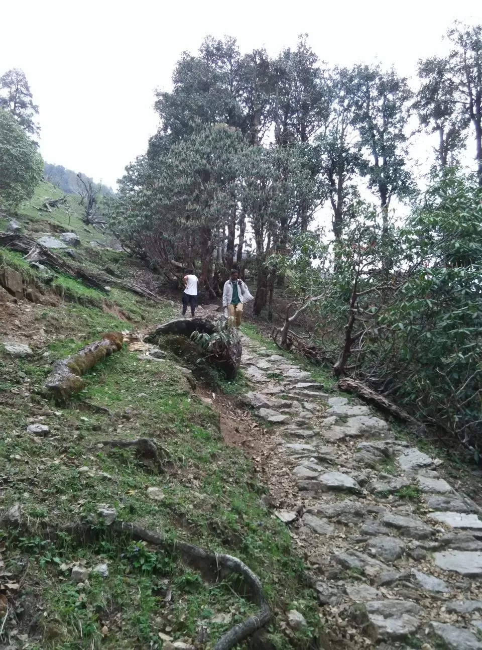 Photo of Munsyari, Uttarakhand, India by Neethu
