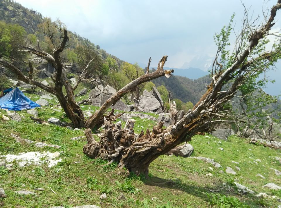 Photo of Munsyari, Uttarakhand, India by Neethu