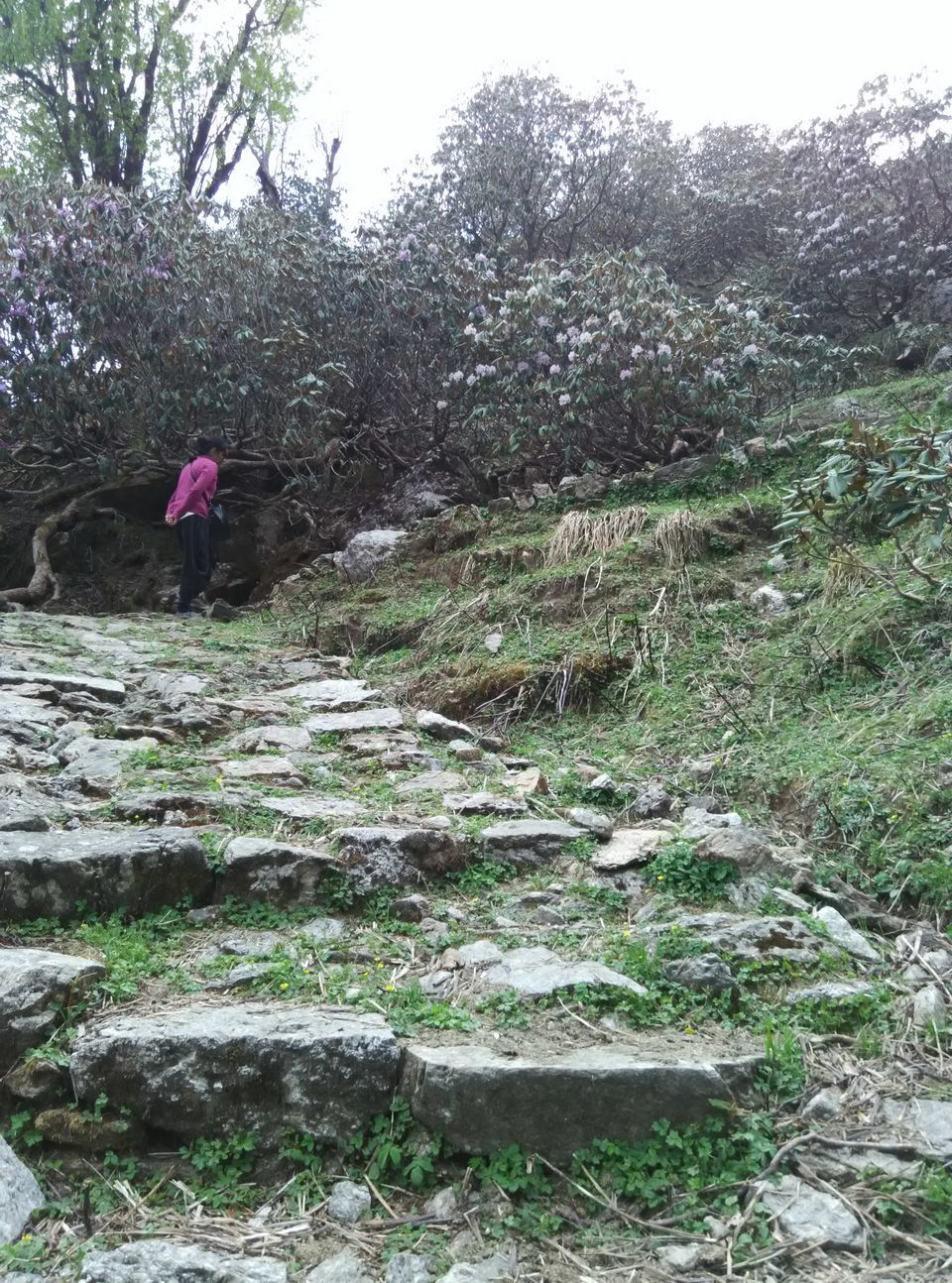 Photo of Munsyari, Uttarakhand, India by Neethu