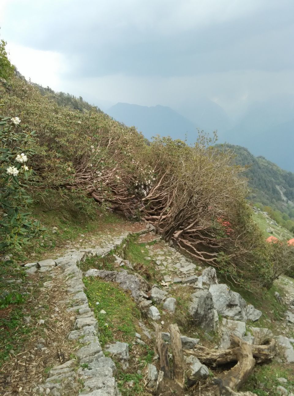 Photo of Munsyari, Uttarakhand, India by Neethu