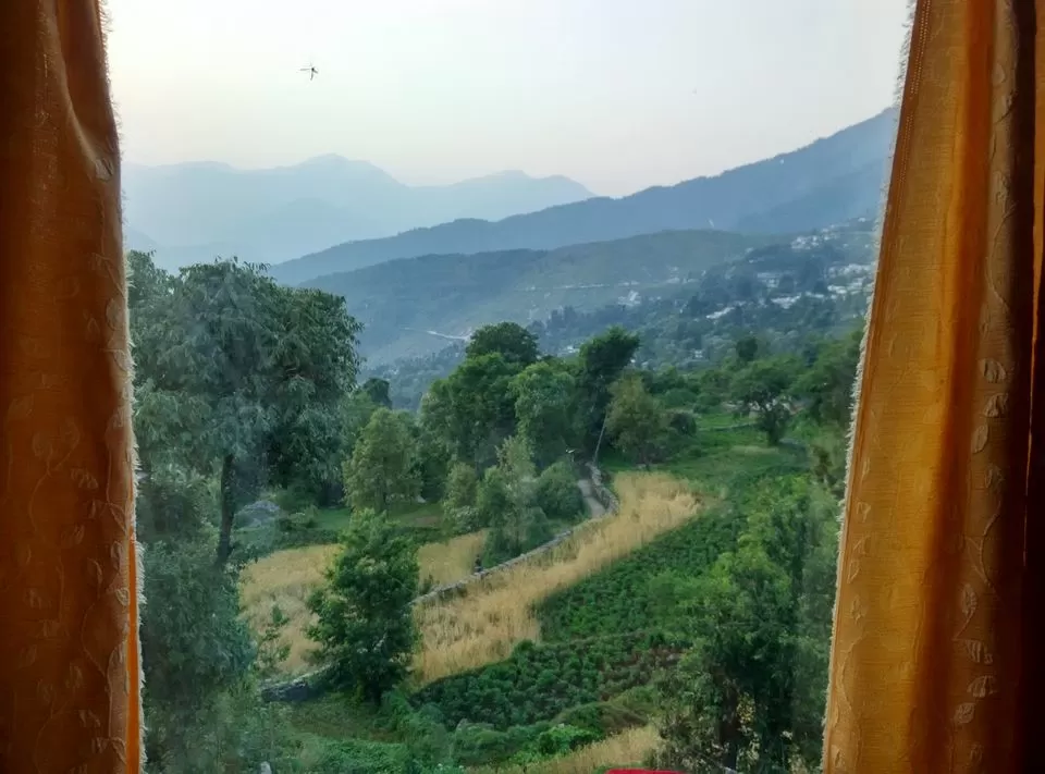 Photo of Munsyari, Uttarakhand, India by Neethu