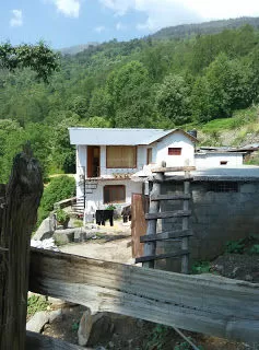 Photo of Munsyari, Uttarakhand, India by Neethu