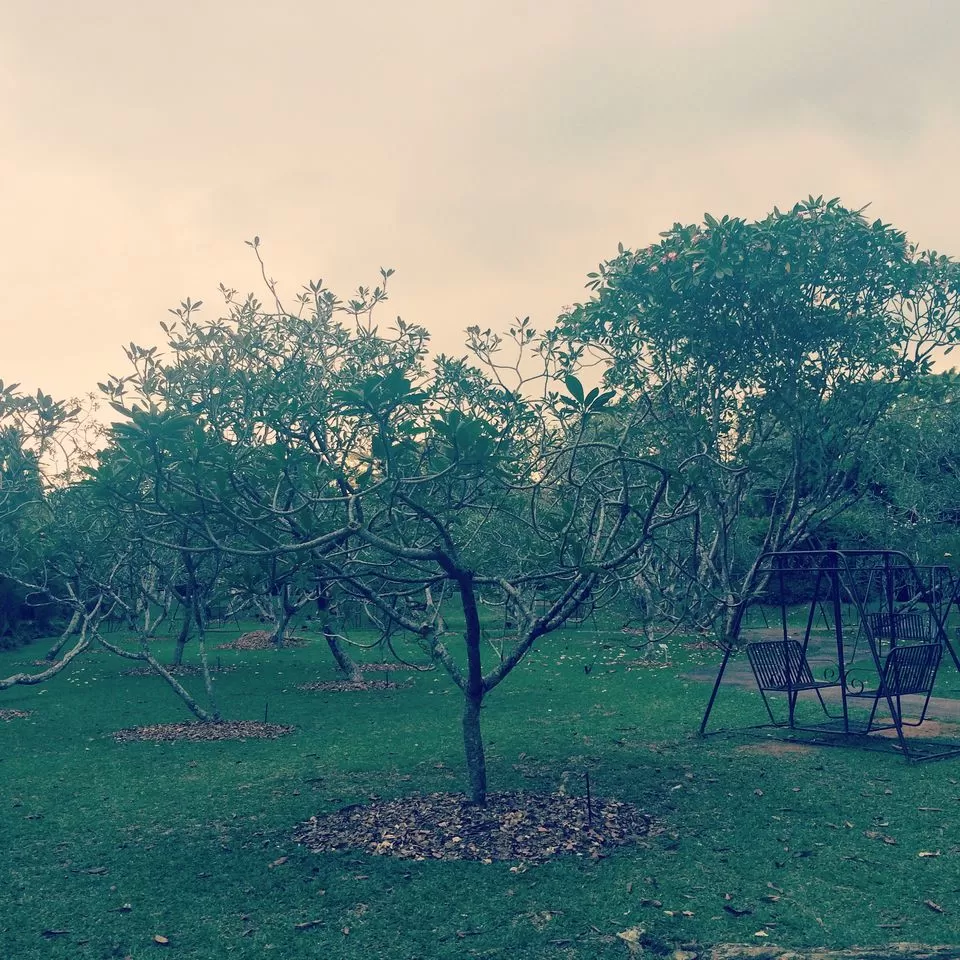 Photo of Singapore by Ashna Sirohi