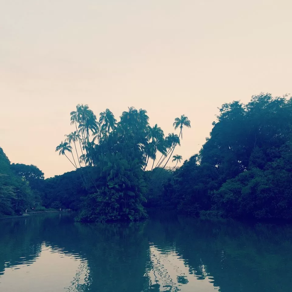 Photo of Singapore by Ashna Sirohi