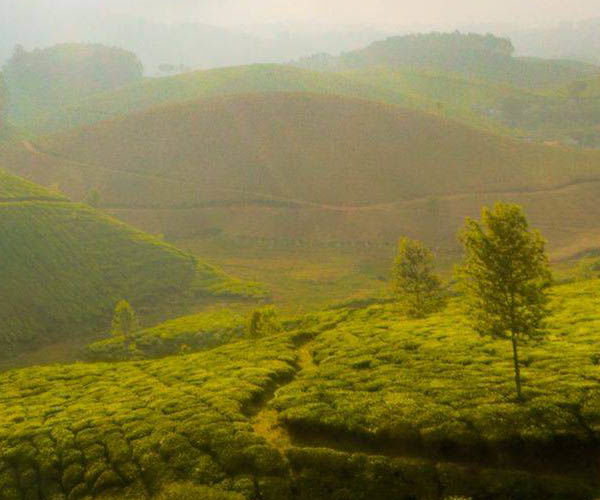 Photo of Top 10 places to visit in India by Saurav Mishra