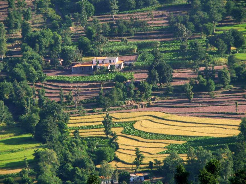 Photo of Kasauli, Himachal Pradesh, India by Saurav