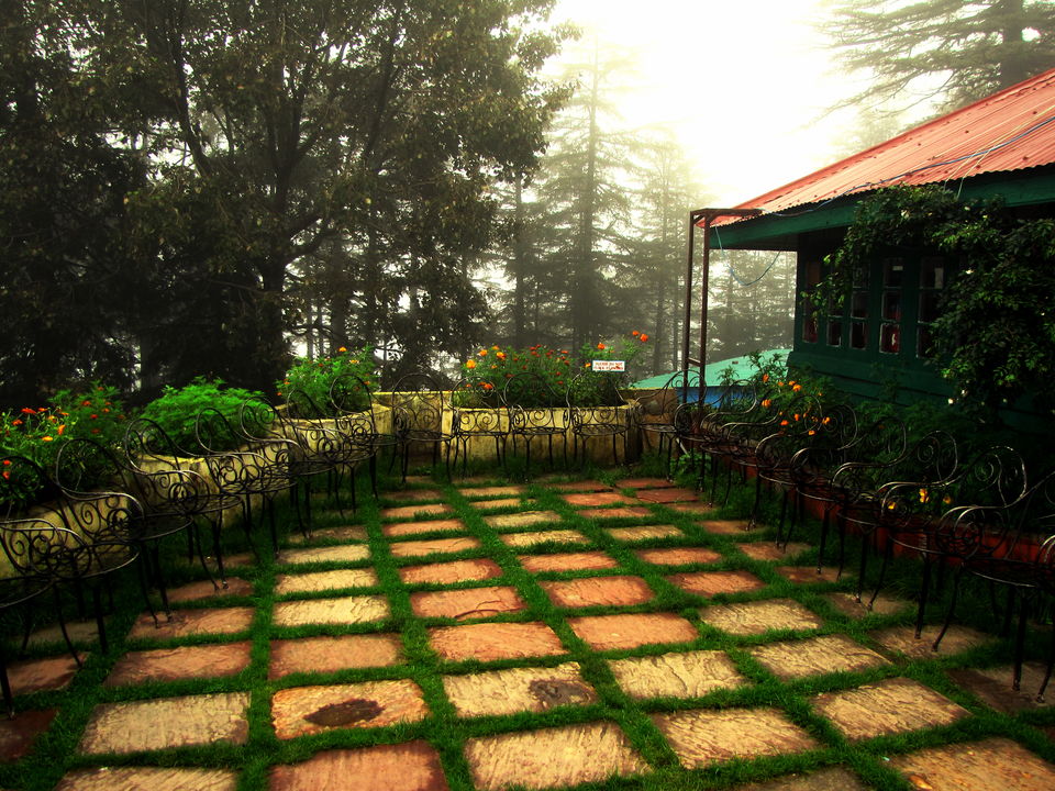 Photo of Kufri, Himachal Pradesh, India by Saurav