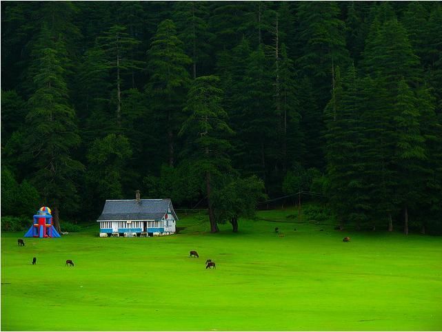 Photo of Khajjiar, Himachal Pradesh, India by Saurav