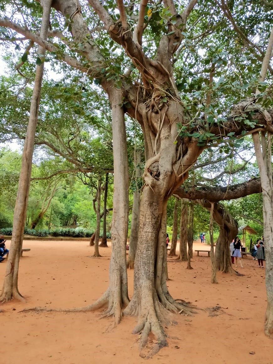 Photo of Auroville, Tamil Nadu, India by Ishita Das Sarkar