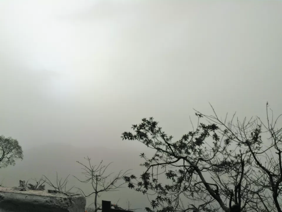 Photo of Binsar, Uttarakhand, India by Ishita Das Sarkar