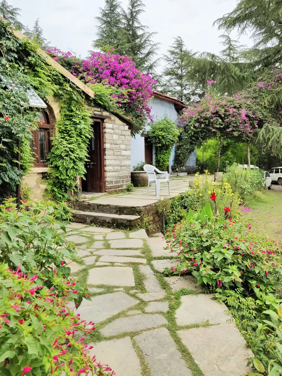 Photo of Binsar, Uttarakhand, India by Ishita Das Sarkar