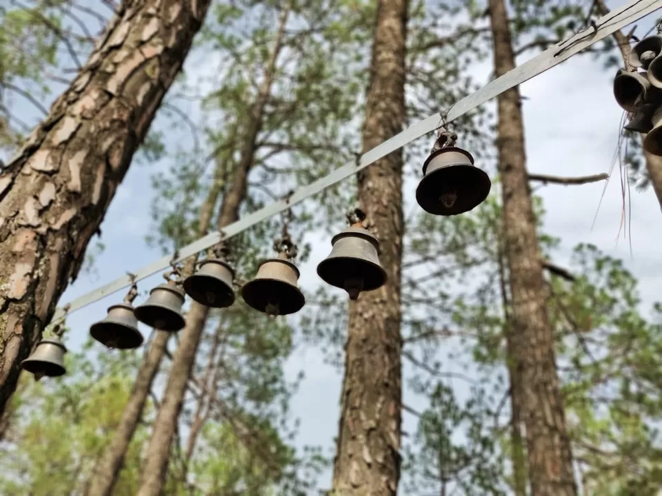 Photo of Binsar Wildlife Sanctuary, Binsar, Uttarakhand, India by Ishita Das Sarkar