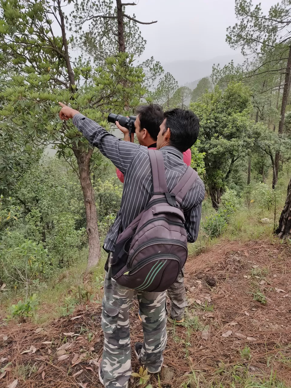 Photo of Binsar Wildlife Sanctuary, Binsar, Uttarakhand, India by Ishita Das Sarkar