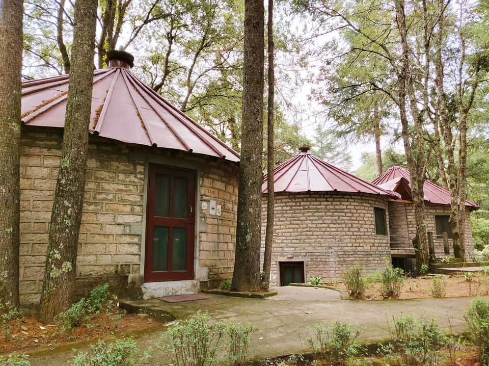 Photo of Experience the charm of Binsar Wildlife Sanctuary at the Khali Mountain Resort by Ishita Das Sarkar