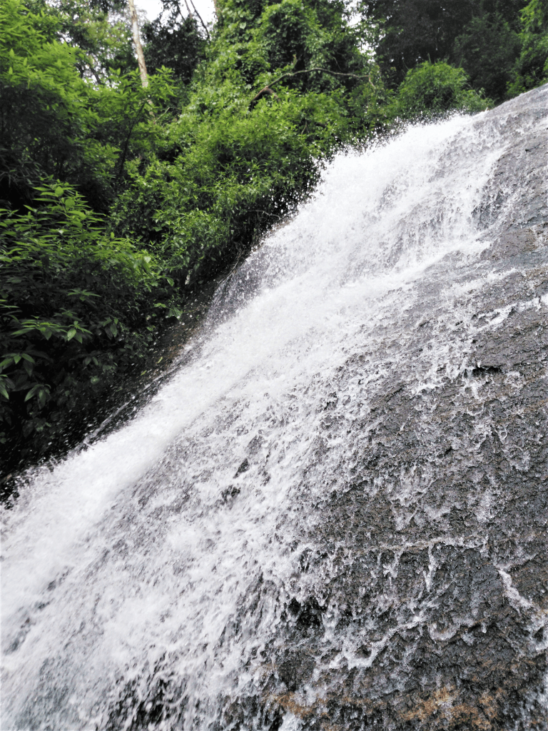 Photo of Why You Must Experience Munnar At Least Once In Your Lifetime 4/21 by Ishita Das Sarkar