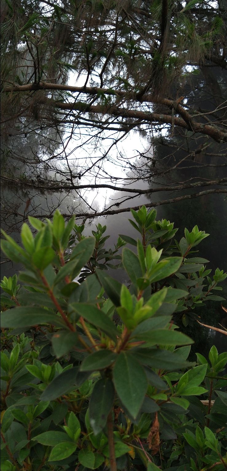 Photo of Kalimpong, West Bengal, India by Sudip Ghosh