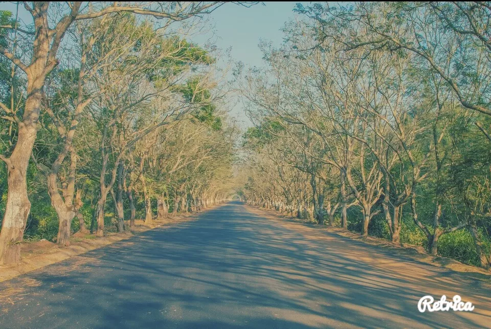 Photo of Puri-Konark Marine Drive, Purussottam Nagar, Puri, Odisha, India by #awes fahmi