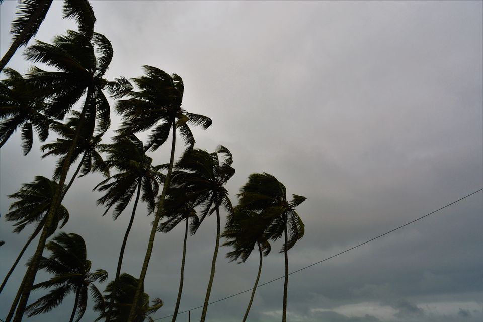 Photo of Goa - A Rainy Rendezvous - Part II by Paramita Basak