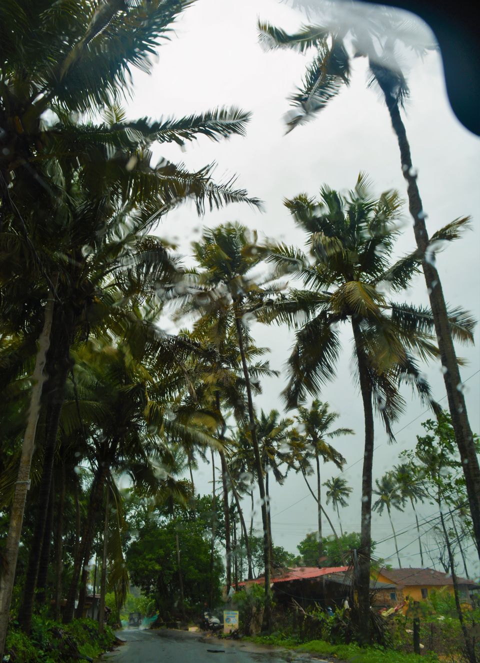 Photo of Goa - A Rainy Rendezvous - Part I 1/19 by Paramita Basak