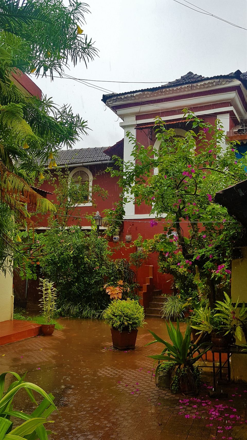 Photo of Goa - A Rainy Rendezvous - Part I 15/19 by Paramita Basak