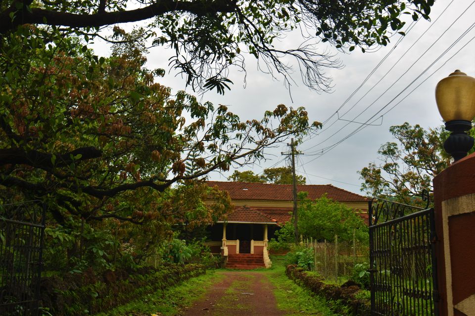 Photo of Goa - A Rainy Rendezvous - Part II 11/12 by Paramita Basak