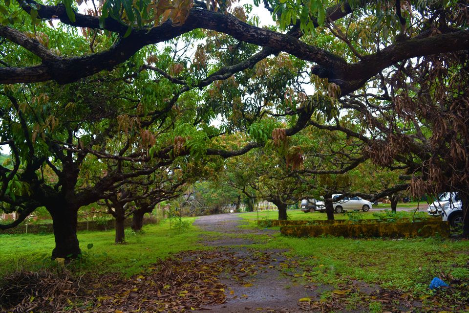 Photo of Goa - A Rainy Rendezvous - Part II 12/12 by Paramita Basak
