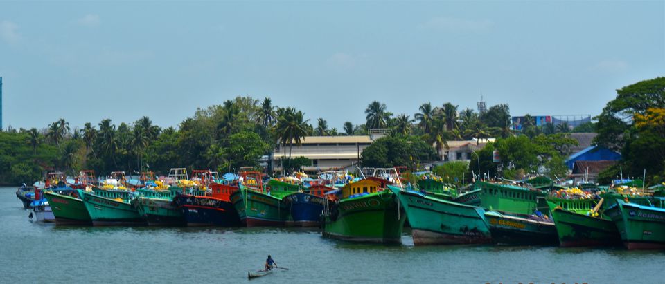Photo of Quintessential Kochi - Love at first day! #Fortkochi #onedaytrip #keralatravel 1/23 by Paramita Basak