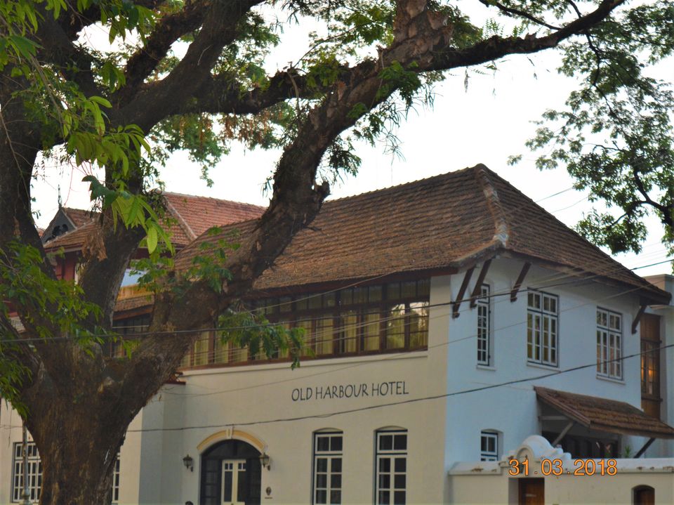 Photo of Quintessential Kochi - Love at first day! #Fortkochi #onedaytrip #keralatravel 3/23 by Paramita Basak
